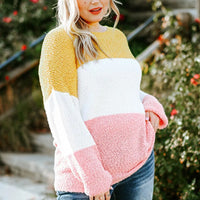 Color Block Round Neck Sweater - NovelleShoppe