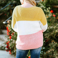 Color Block Round Neck Sweater - NovelleShoppe