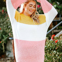 Color Block Round Neck Sweater - NovelleShoppe